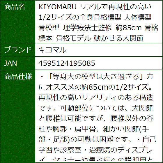 KIYOMARU リアルで再現性の高い1/2サイズの全身骨格模型 人体模型 骨模型 理学療法士監修 約85cm 骨格標本 骨格モデル | ブランド登録なし | 09