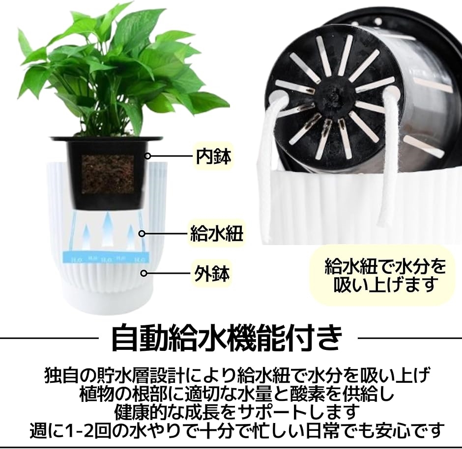 給水プランター 植木鉢 自己給水 プラスチック 給水ひも付 観葉植物 サボテン 12cm 6点セット( ホワイト, Medium)