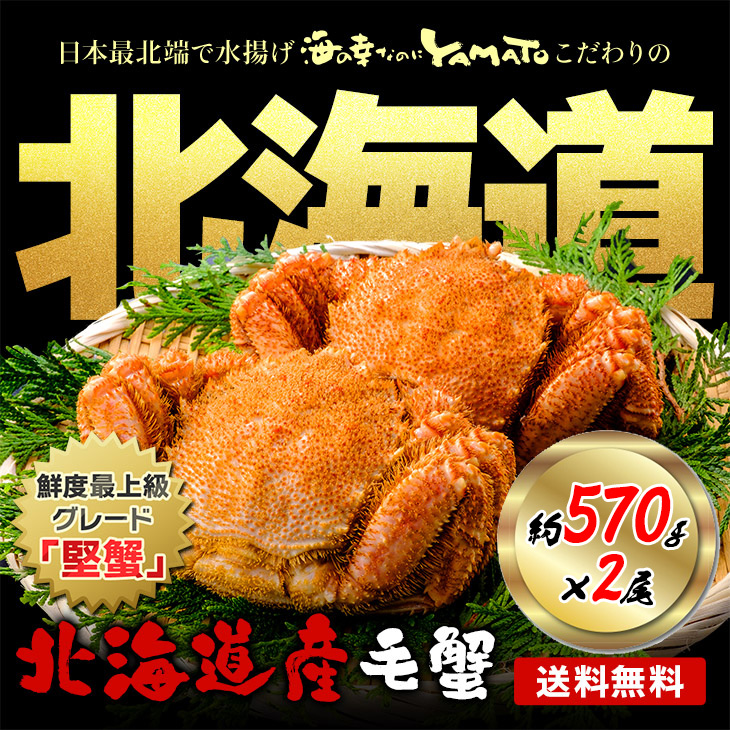 毛蟹 北海道オホーツク産 浜茹で毛蟹 大型570gサイズ×2尾入 合計1,14kg 化粧