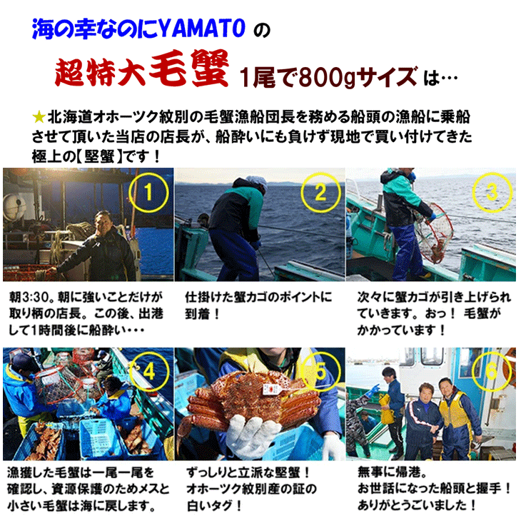 【クーポンで1,000円OFF】堅蟹厳選!希少な超特大サイズ!北海道オホーツク紋別産“浜茹で”毛蟹 800g~1kg 毛ガニ カニ お歳暮 お年賀 爆買 関連画像4