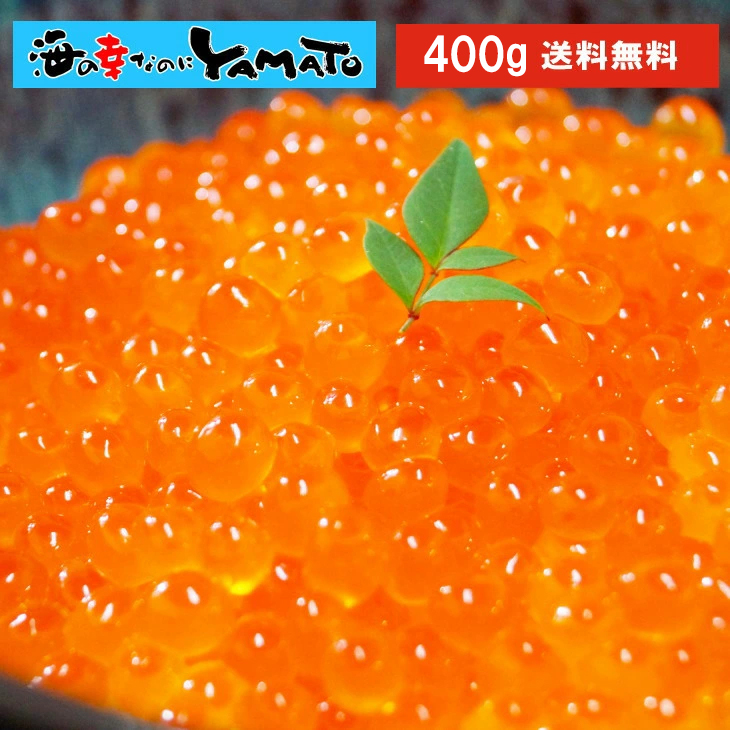 ̳ƻܤɤ顪̳ƻξ 400gȢ ˾  £   ץ쥼 