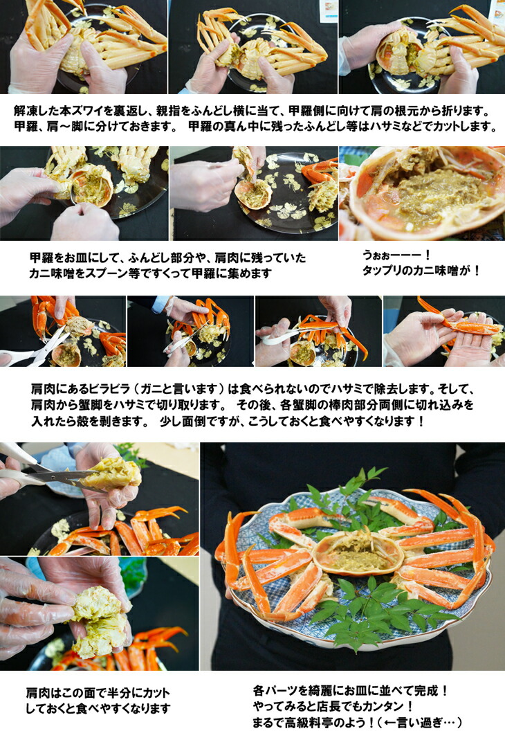 12区の煌めき 本ズワイ蟹姿造り 3kg 6尾入り カニ かに 蟹 ずわい蟹 ズワイガニ 蟹味噌 カニ味噌 海の幸 お祝い 年末年始 海の幸なのにyamato 通販 Paypayモール