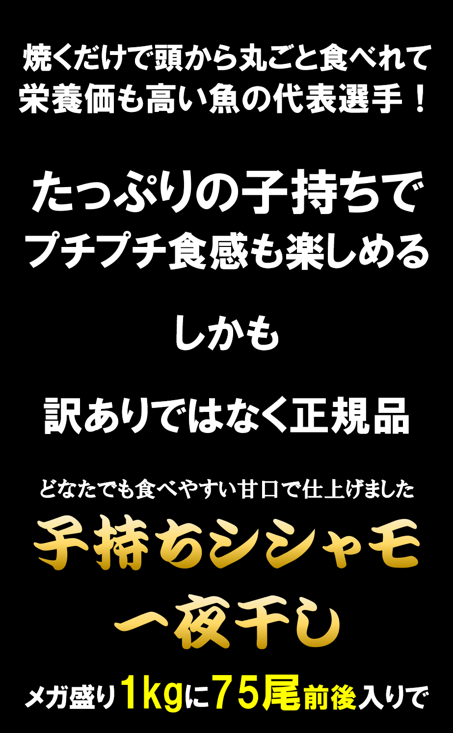 子持ち シシャモ 一夜干し 山盛り1kg(500g×2袋) アイスランド産原料 ししゃも カペリン おつまみ 関連画像1