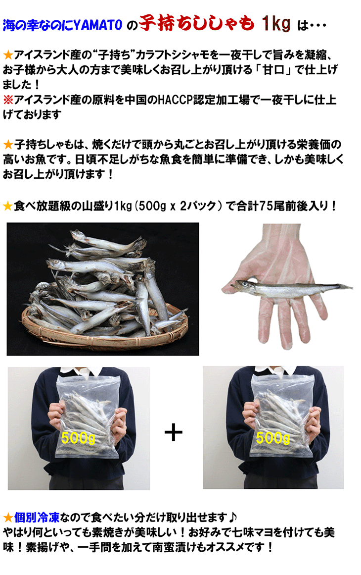 子持ち シシャモ 一夜干し 山盛り1kg(500g×2袋) アイスランド産原料 ししゃも カペリン おつまみ 関連画像3
