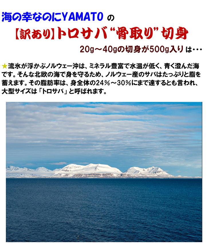【無塩・無添加】訳ありトロサバ“骨取り”切身 500g×1パック〜 ノルウェー産 プレミアム 骨取り 骨なし 簡単調理 サバ味噌煮 サバ塩焼き サバ竜田揚げ 鯖 さば 関連画像5