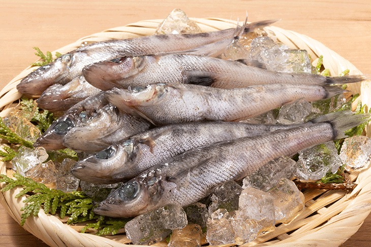 三陸石巻産 メヒカリ 500g-1kg めひかり 目光 唐揚げ 天ぷら 爆買 : 海