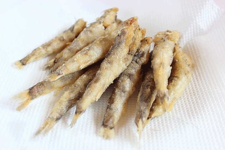 三陸石巻産 メヒカリ 500g-1kg めひかり 目光 唐揚げ 天ぷら 爆買 : 海