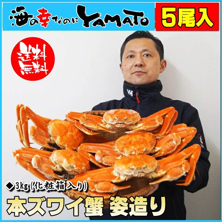 ܥ磻¤ 3kg(5)     襤 磻   ǯ £  渵  ե