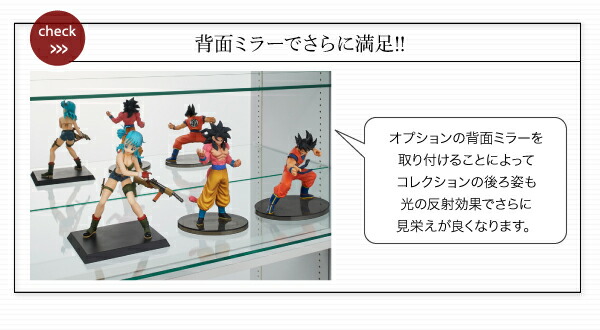 壁面収納 コレクションラック ワイド 上置き ロータイプ 奥行29
