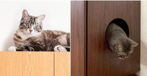キャットトイレクローゼット 猫用トイレ 隠す ねこ カバー ラック 棚