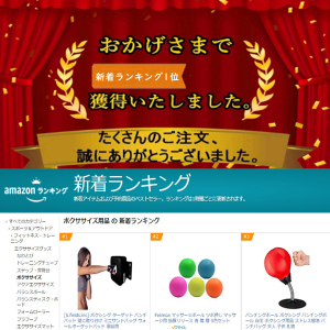 ボクシング ターゲット パンチパッド 壁に取り付け ミニサンドバッグ