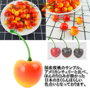 S.fields.inc正規直営店 さくらんぼ 食品サンプル 50個 2.5cm 国産桜桃
