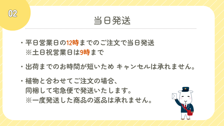 当日発送2