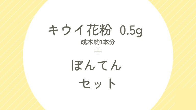 タイトル