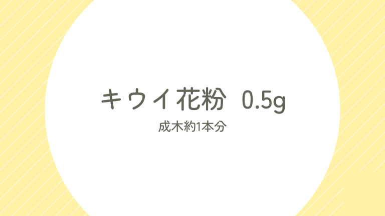 タイトル