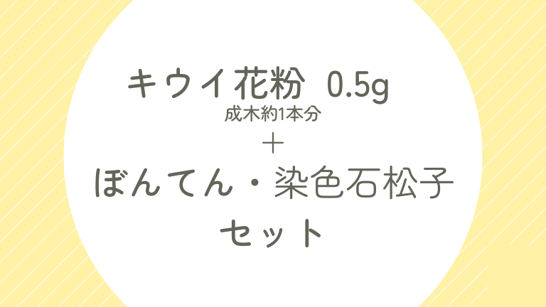 タイトル