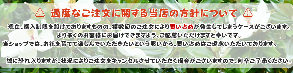 注意