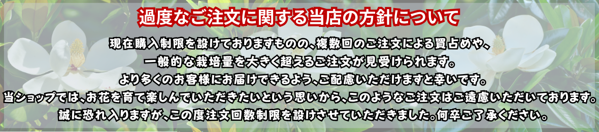 注意