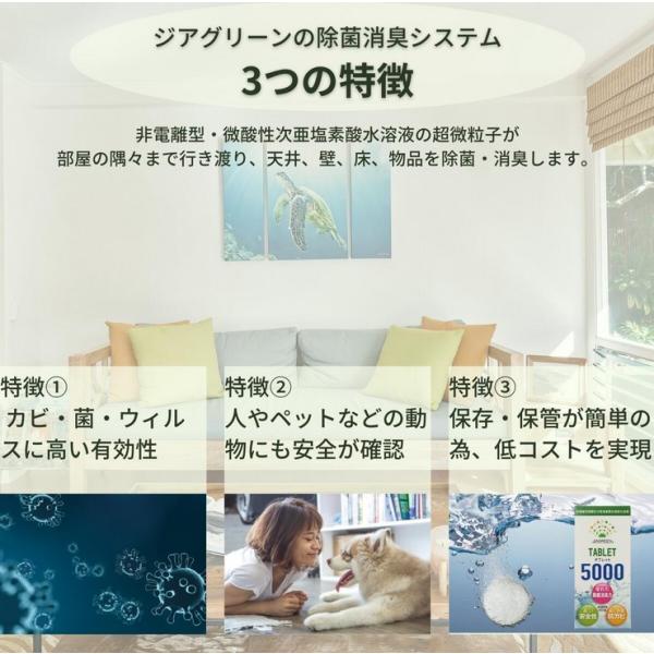 ジアグリーン 5000 (10錠入)】 次亜塩素酸 加湿器用 噴霧 100ppm 除菌