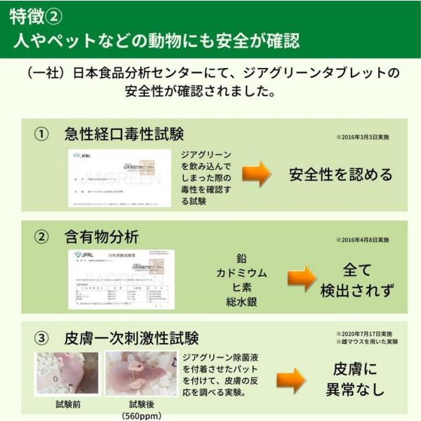 ジアグリーン 5000 (10錠入)】 次亜塩素酸 加湿器用 噴霧 100ppm 除菌