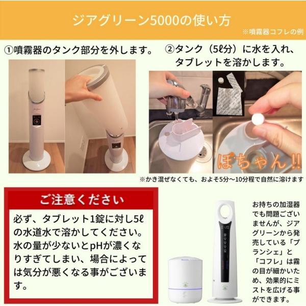 sh-store_jiagreen-48851_9.jpg