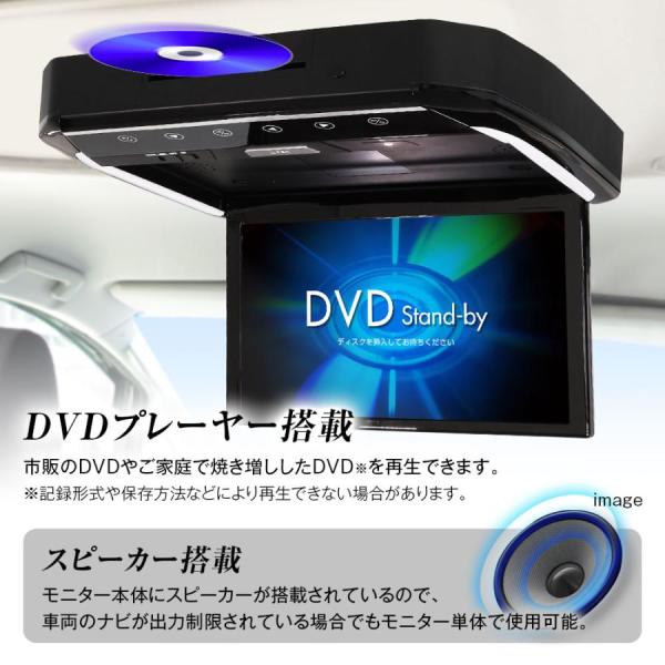 sh-store_maxwin-