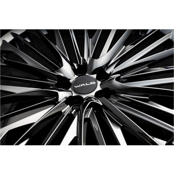 ヴァルド(WALD) ジェニュインライン F001 20インチ 【厳選輸入245