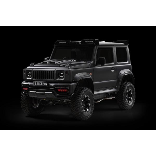 WALD(ヴァルド) ブラックバイソン DTM-SPORTS サイドマフラーオーバル