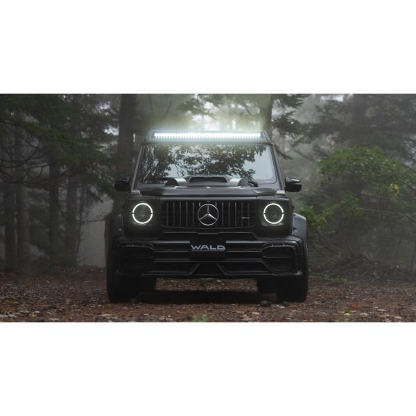 sh-store_wald-
