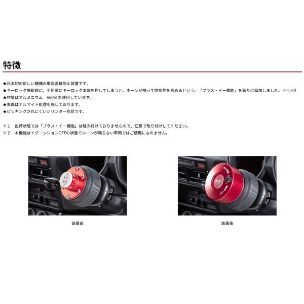 sh-store_works-