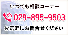 いつでも相談コーナー　?029-895-9503 お気軽にお問合せください