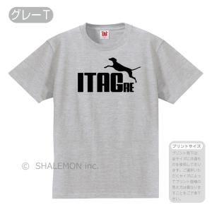 イタグレ アニマル ( 選べる８色 Tシャツ イタリアン・グレイハウンド ジャンプ ) Tシャツ メ...