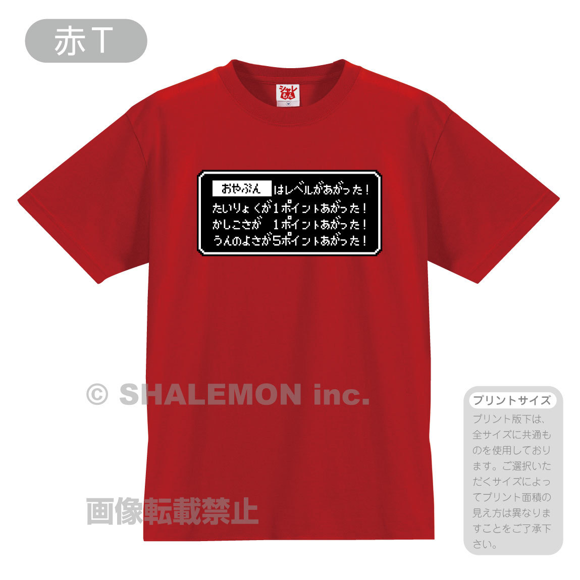 受験 合格祈願 応援 ( 選べる8色 Ｔシャツ 名入れ ○○はレベルがあがった！ ) RPG風 グッズ プレゼント 御守 祈願 絶対合格 サクラサク｜shalemon｜03