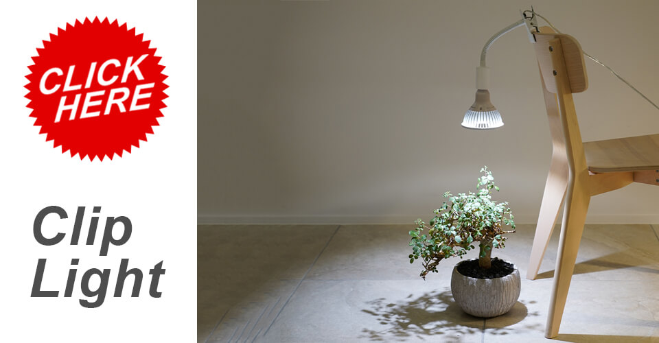 アマテラス 【LED 10W】 植物育成ライト BARREL 水槽用照明 