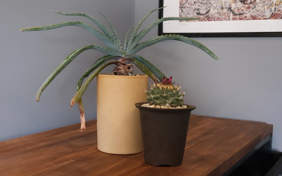 ウ泥ラン鉢【3.5号】荒目 Φ10cm×H10.5cm 素焼き 植木鉢 陶器 こげ茶色