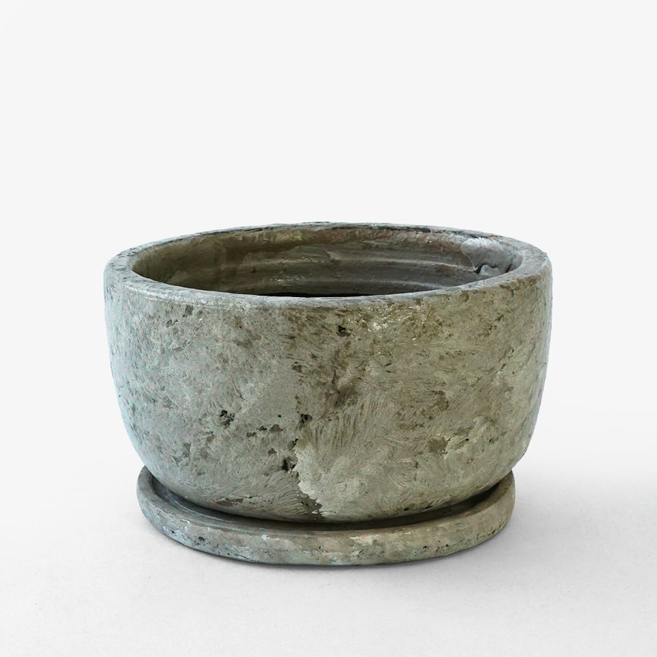 グロスシャロー【ホワイト】Φ20cm×H10.5cm 植木鉢 陶器 7号 受皿付 浅