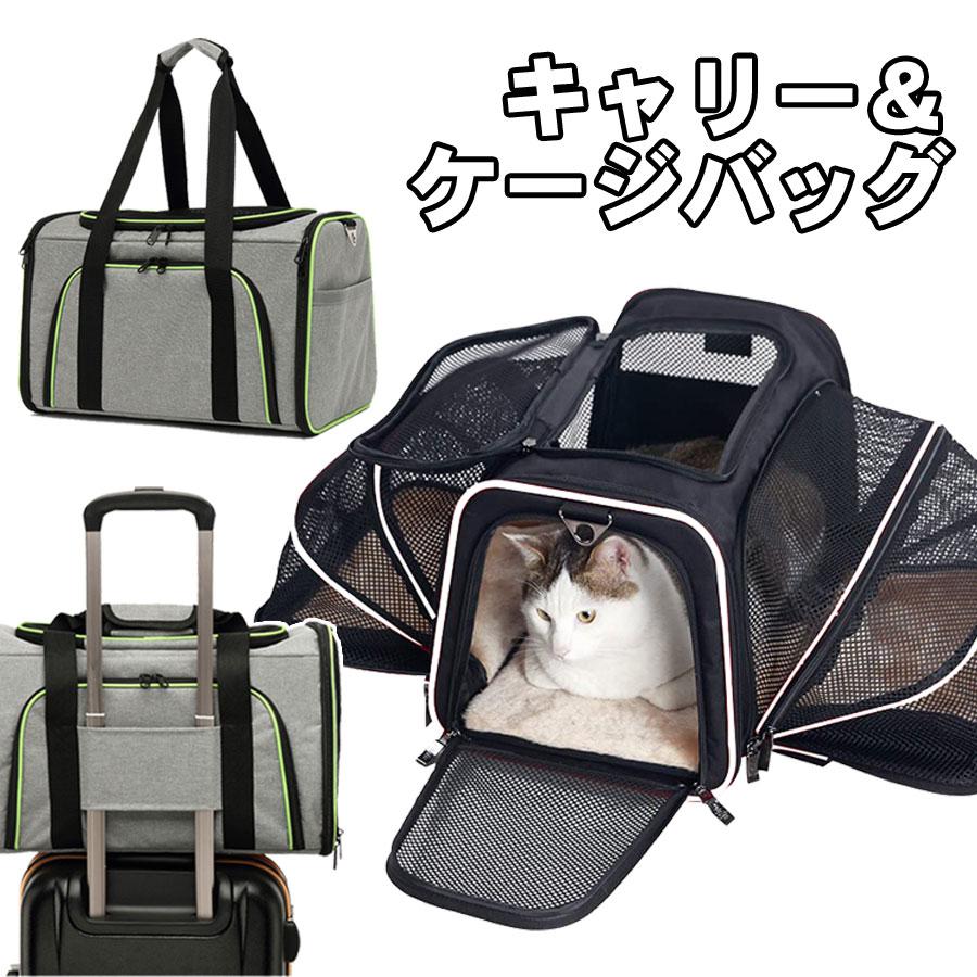 |Cg15{ Lv[g ybgpL[obO ܂肽 ybgL[  L L[obO ybgL[P[X L[obN