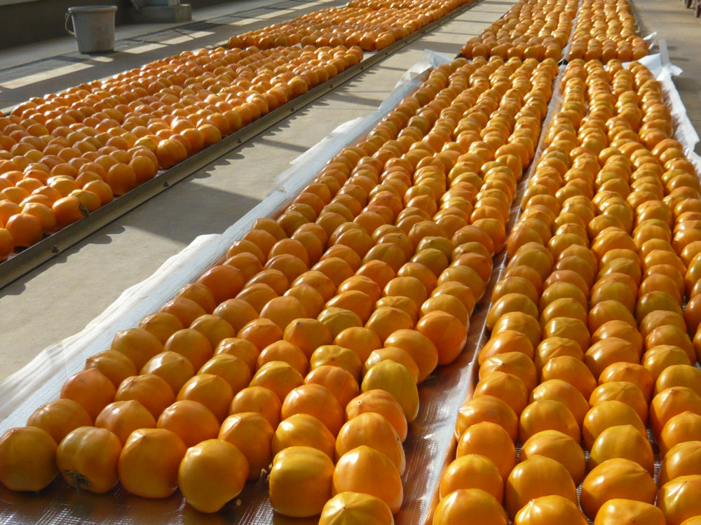 干し柿 堂上蜂屋柿 『秀』3個入 特別なギフト 自分へのご褒美