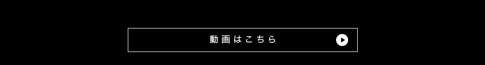 PowerClean 360 iw4171j