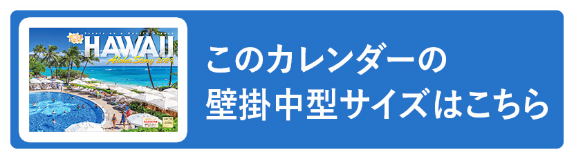 ハワイ Aloha Story』 2024年カレンダー 壁掛け 【420×297mm 透明
