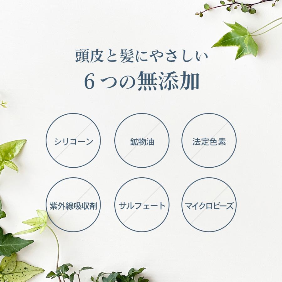 エス・ハート・エス ノンシリコン シャンプー うるツヤ Sasso プロケア