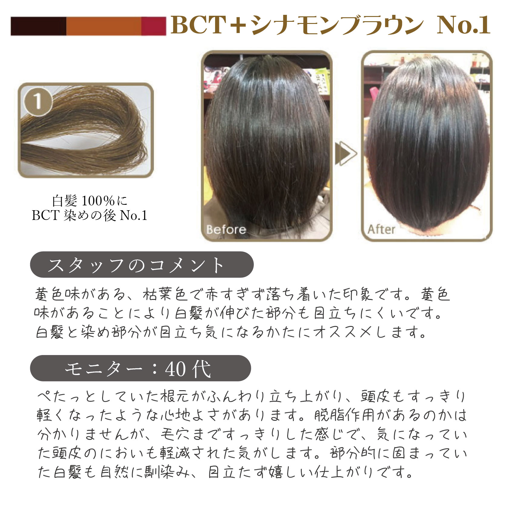 ヘナ 白髪染め ホームキット (50g＋50g) ×2セット 選べる4色 つ