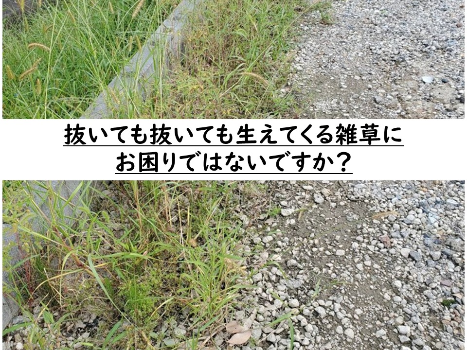 高耐久 雑草対策 雑草防止 防草シート 除草シ...の詳細画像2
