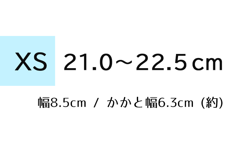 BMZ コアライト インソール ダイエット 痩せる 中敷き 姿勢 矯正 疲れない アーチサポート o脚 外反母趾 体幹 トレーニング 扁平足 足底筋膜炎 レディース 産後 | BMZ | 01