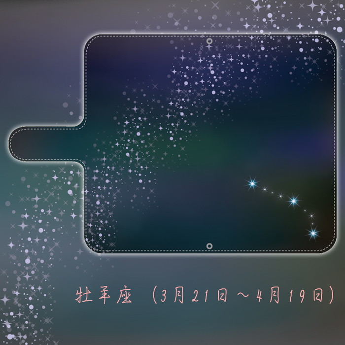 スマホケース Xiaomi Redmi 9T レドミ シャオミ 手帳型 ショルダー 全機種対応 携帯ケース スマホカバー おしゃれ 韓国 流行り android 携帯カバー 抗菌 日本製｜sheruby-web｜02