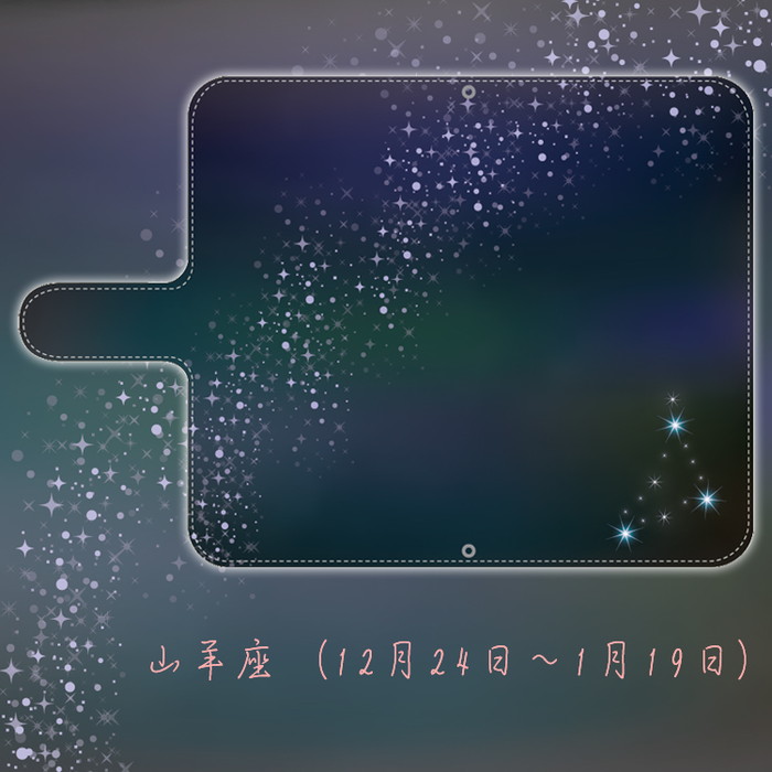 スマホケース Xperia 10 IV SO-52C SOG07 A202SO 手帳型 ショルダー 全機種対応 携帯ケース スマホ カバー おしゃれ 韓国 流行り android 抗菌 日本製｜sheruby-web｜11