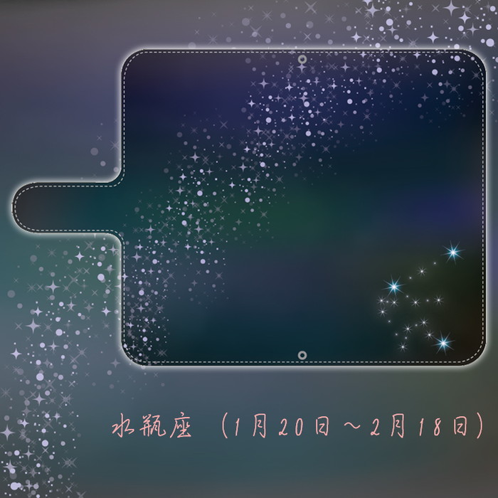 スマホケース Pixel5  G5NZ6 / GOG01  Google 手帳型 ショルダー 全機種対応 携帯ケース スマホ カバー 韓国 流行り おしゃれ android 携帯カバー 抗菌 日本製｜sheruby-web｜12