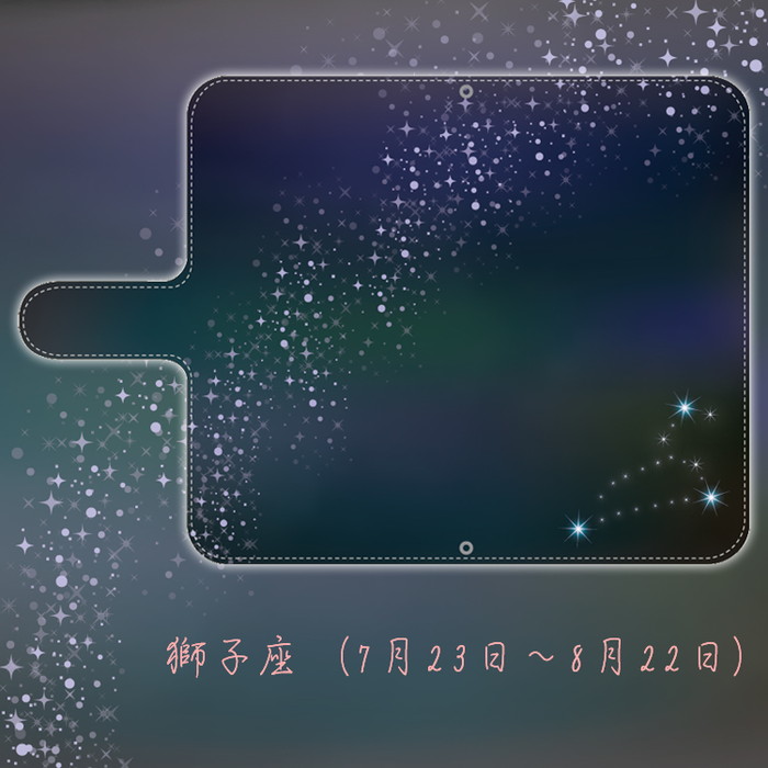 スマホケース ギャラクシー galaxy S9 SC-02K 手帳型 ショルダー 全機種対応 携帯ケース スマホ カバー 韓国 流行り おしゃれ android 携帯カバー 抗菌 日本製｜sheruby-web｜06