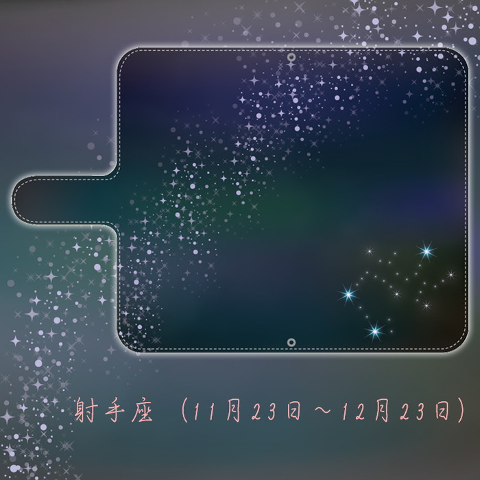 スマホケース pixel6  GR1YH  Google 手帳型 ショルダー 全機種対応 携帯ケース スマホ カバー 韓国 流行り おしゃれ android 携帯カバー 抗菌 日本製｜sheruby-web｜10