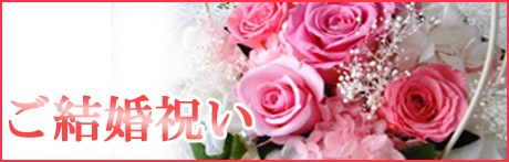 タイトル画像